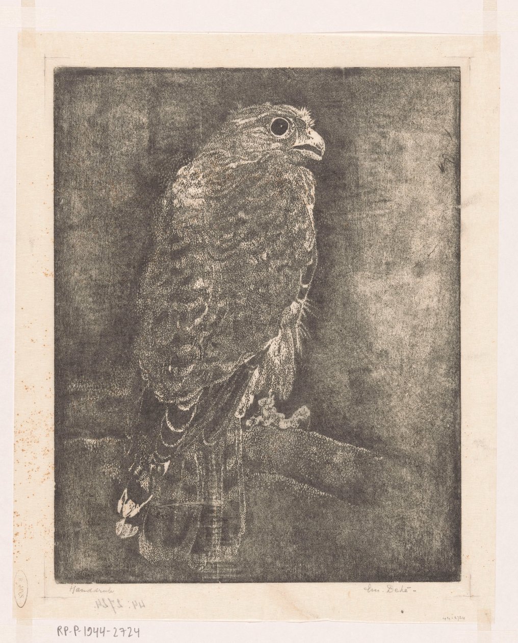 Haukka oksalla tekijältä Emilius Wilhelmus Dehé (signed by artist)