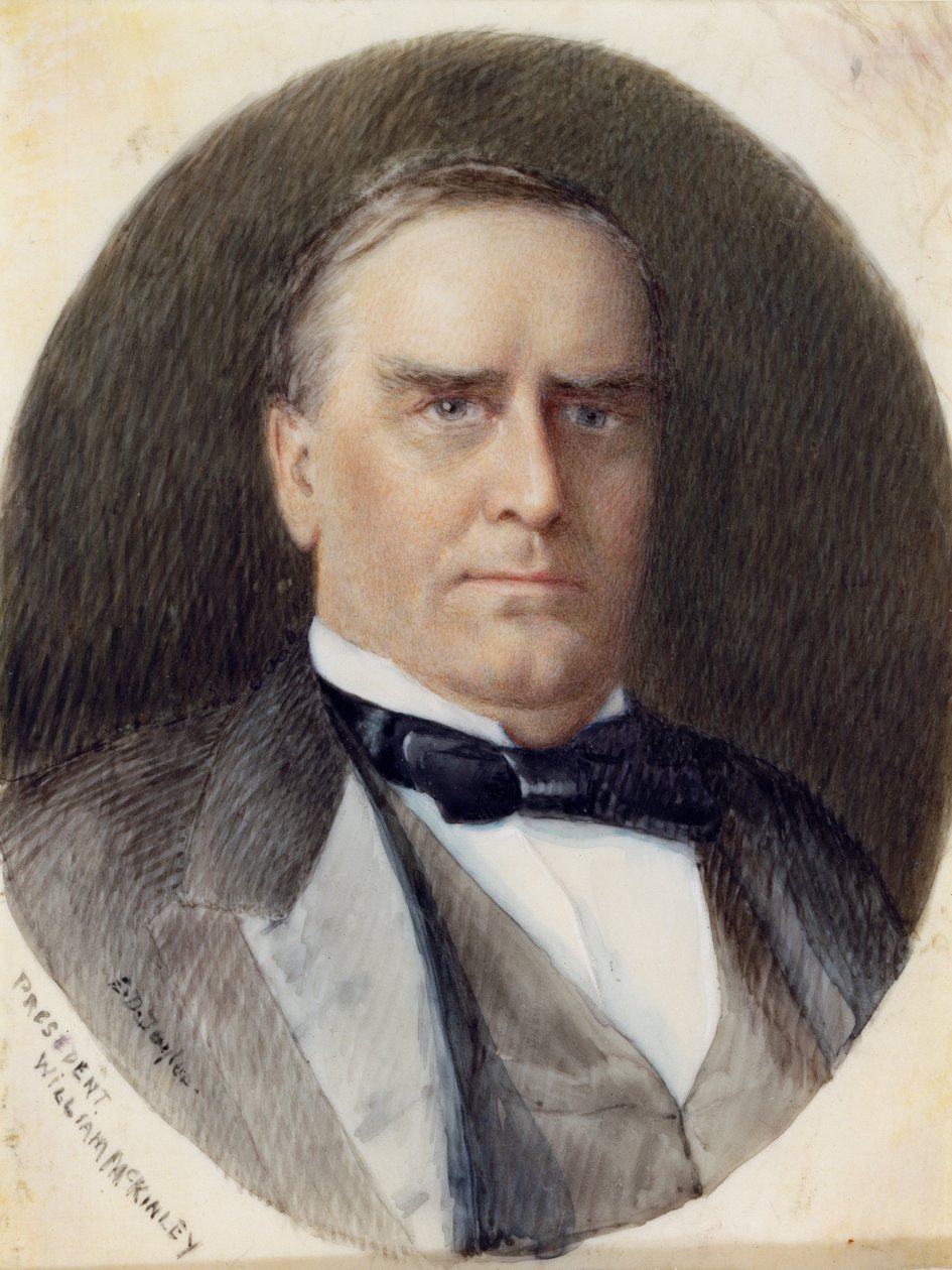 William McKinley tekijältä Emily Drayton Taylor