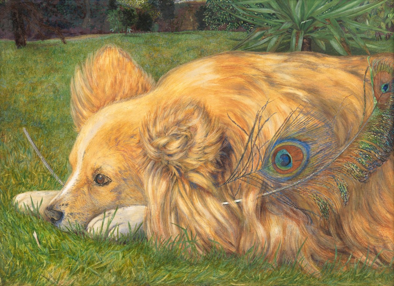 Jealous Jessie, 1861 (wc lyijykynän jälkien päällä, vartalovärillä korostettu ja naarmuuntunut) tekijältä Emily and Hunt, William Holman Hunt