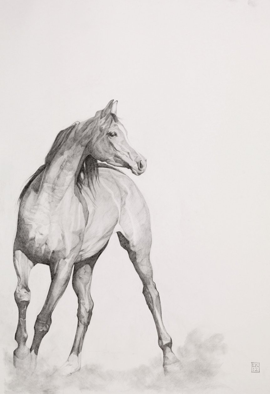 Liikkuva kuva, sarja 1, 2012 (grafiitti paperille) tekijältä Emma Kennaway