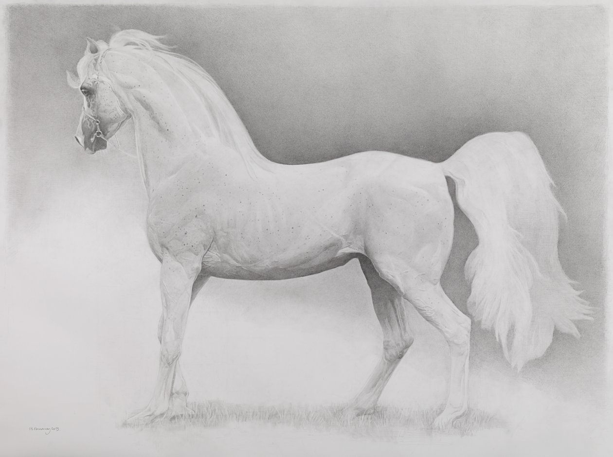 Liikkuva kuva, sarja 2, 2013 (grafiitti paperille) tekijältä Emma Kennaway