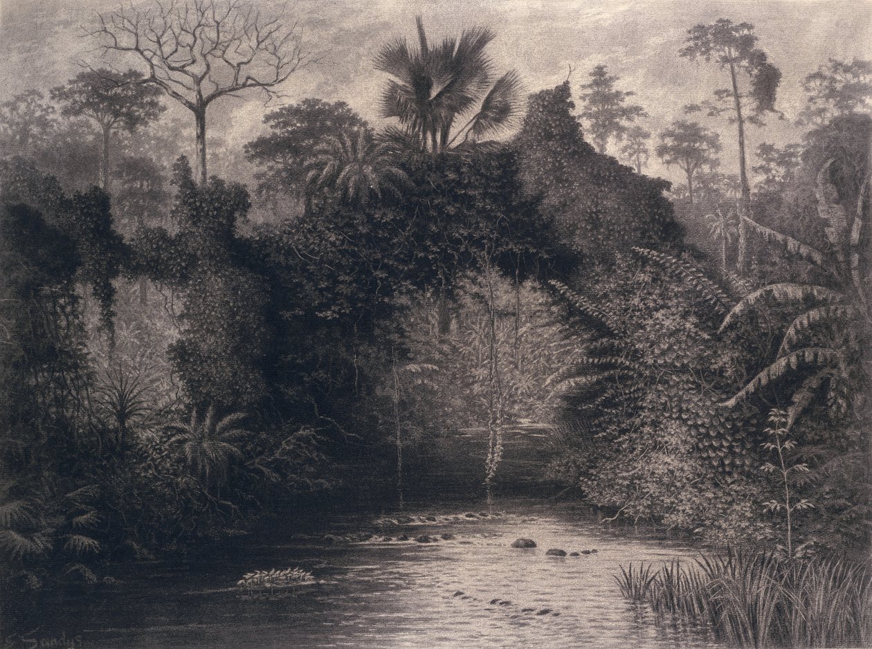 Näkymä Biafranlahdelle, Länsi-Afrikka, 1877 (hiili paperille) tekijältä Emma Sandys