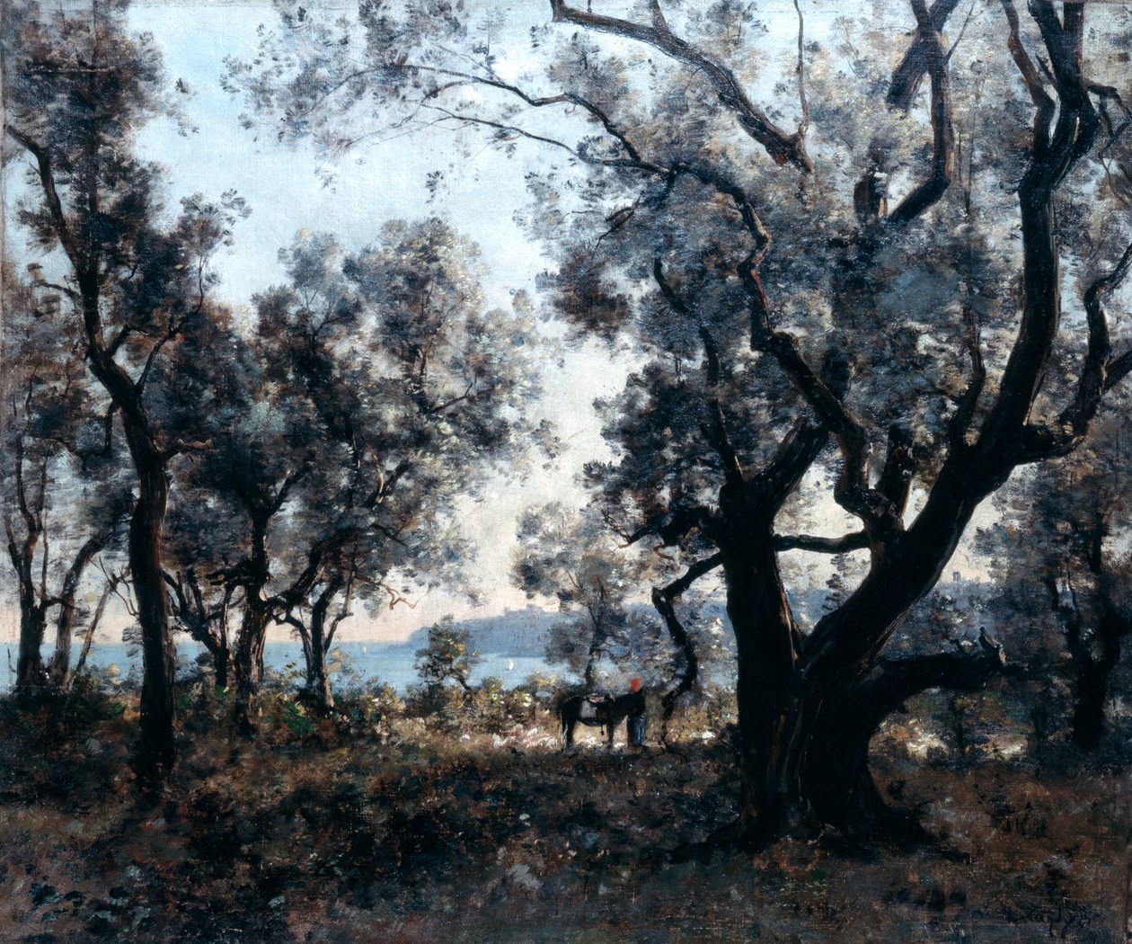 Oliivipuut Cap Martinin ympärillä, 1891. tekijältä Emmanuel Lansyer