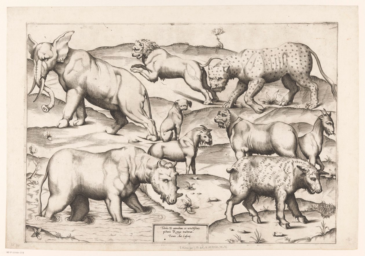 Yhdeksän eläintä Eläimistä antiikkiin seinämaalauksiin (sarjan nimi) Speculum Romanae Magnificentiae (sarjan nimi) tekijältä Enea Vico (attributed to)