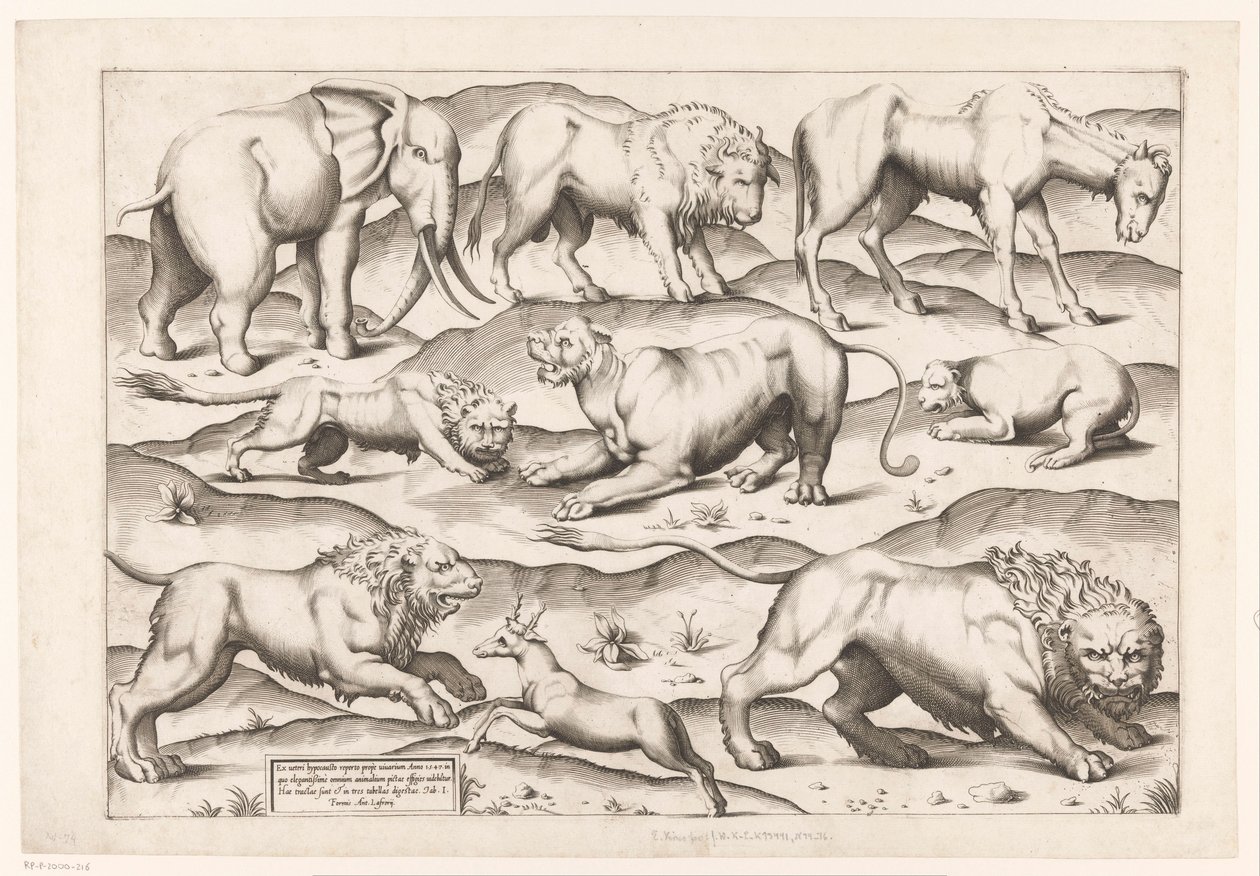 Yhdeksän villieläintä Eläimistä antiikkisiin seinämaalauksiin (sarjan nimi) Speculum Romanae Magnificentiae (sarjan nimi) tekijältä Enea Vico (attributed to)
