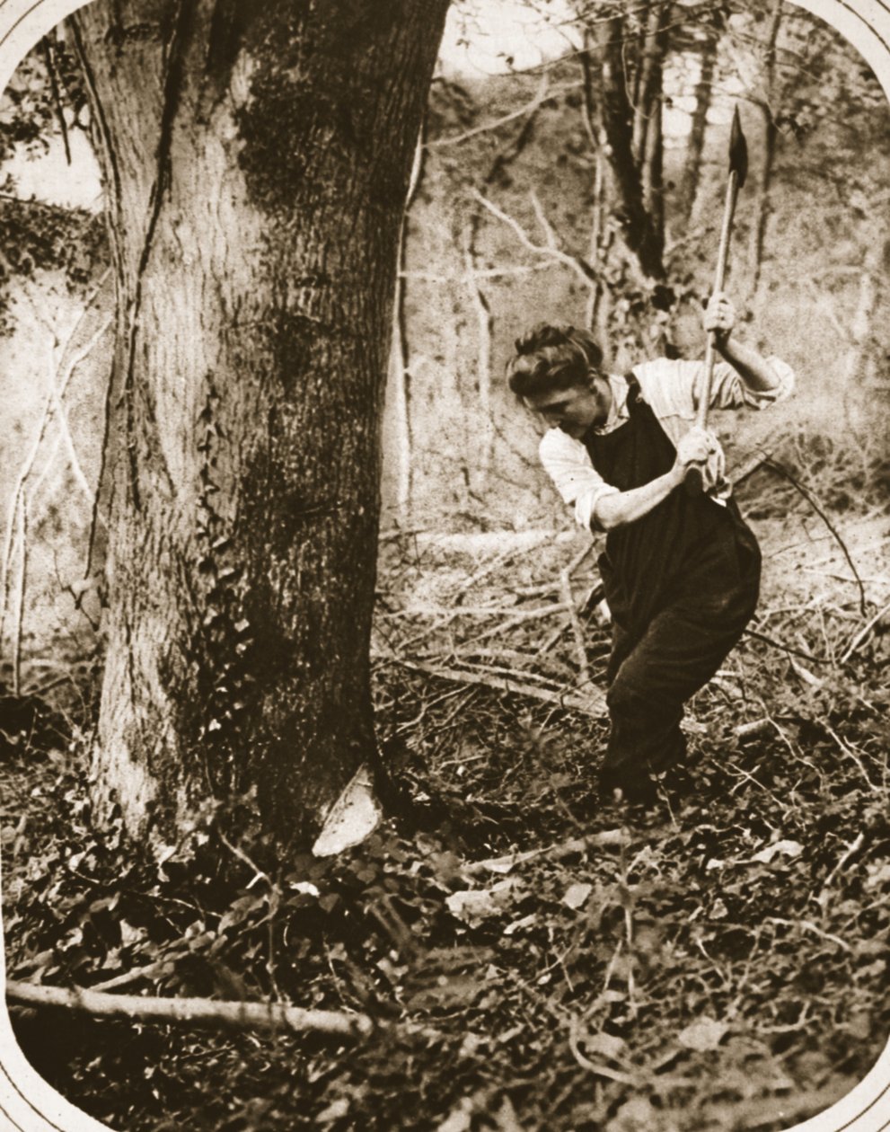 Rasittava naistyöläinen Weston-Super-Maressa; puiden kaataminen Somersetin metsässä, kuvitus The Illustrated War Newsista, syyskuu 1916 (seepiakuva) tekijältä English Photographer