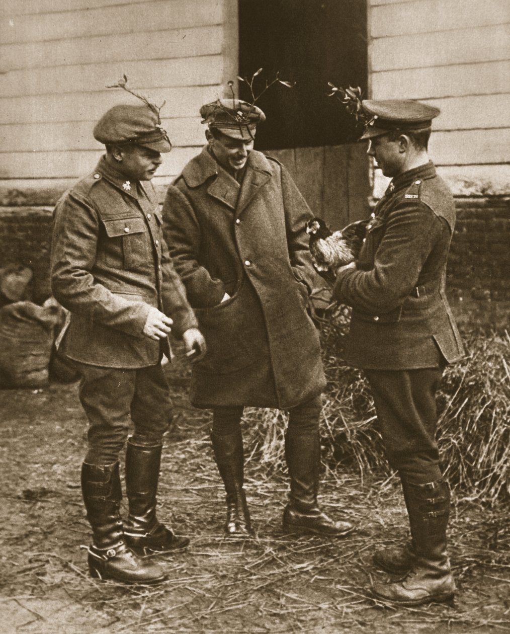 Tyypillinen brittiryhmä: Mistelissä pukeutuvat sotilaat ja kana jouluksi, kuvitus The Illustrated War Newsista (seepiakuva) tekijältä English Photographer