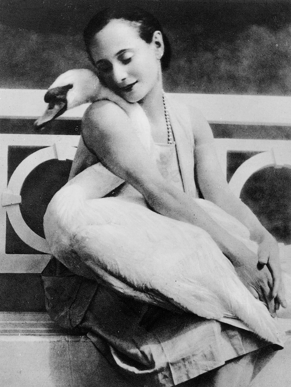 Anna Pavlova lemmikkijoutsenensa Jackin kanssa, n. 1905 tekijältä English Photographer