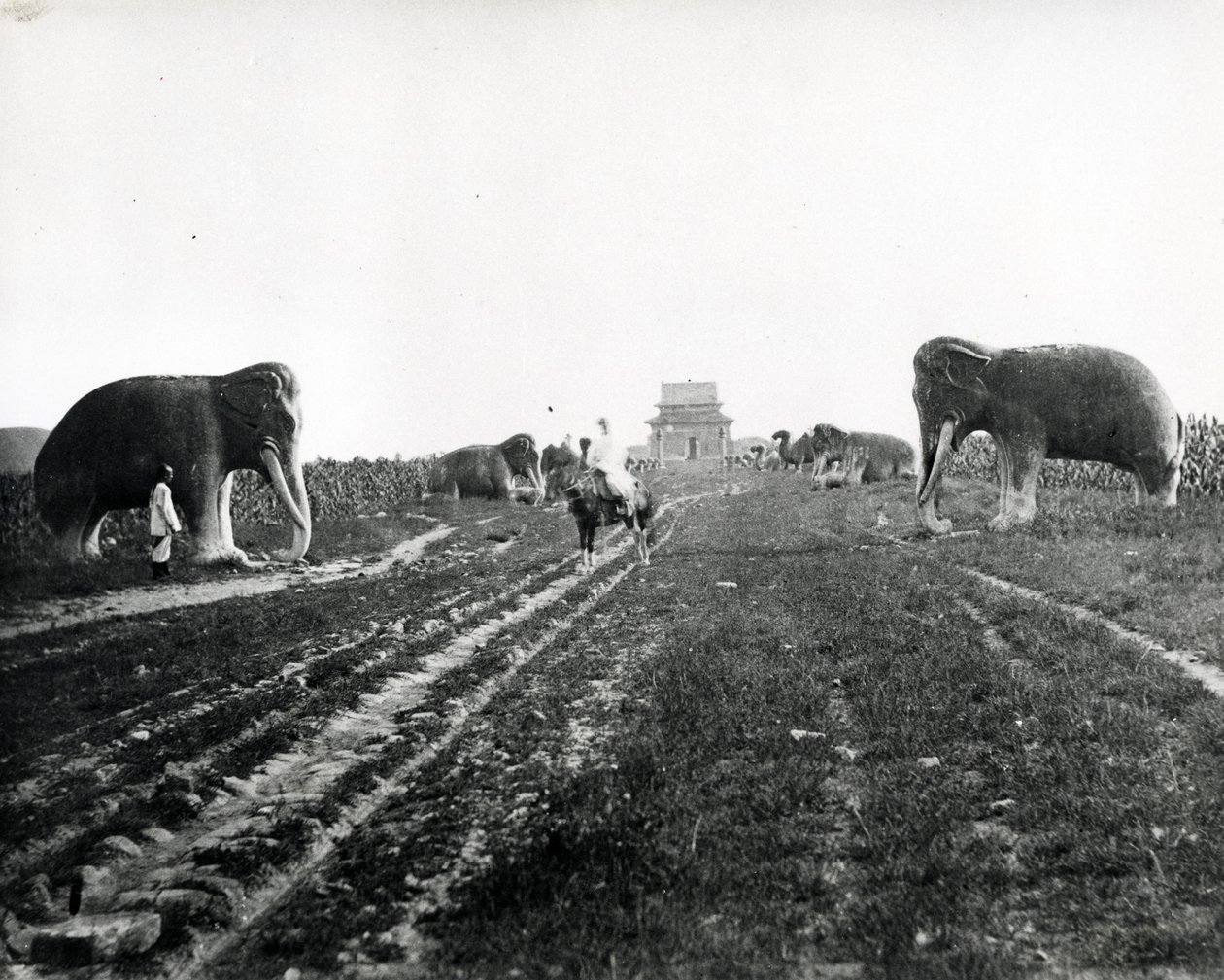 Avenue of Guardian Animals Leading Ming Tombs, Peking, n. 1868-70 tekijältä English Photographer