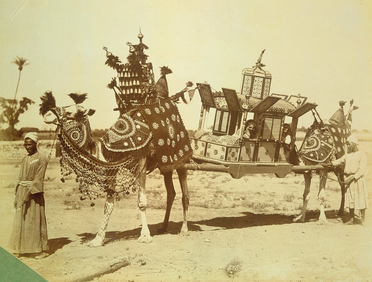 Morsiuspalanquin, Kairo, Egypti, n. 1878 tekijältä English Photographer