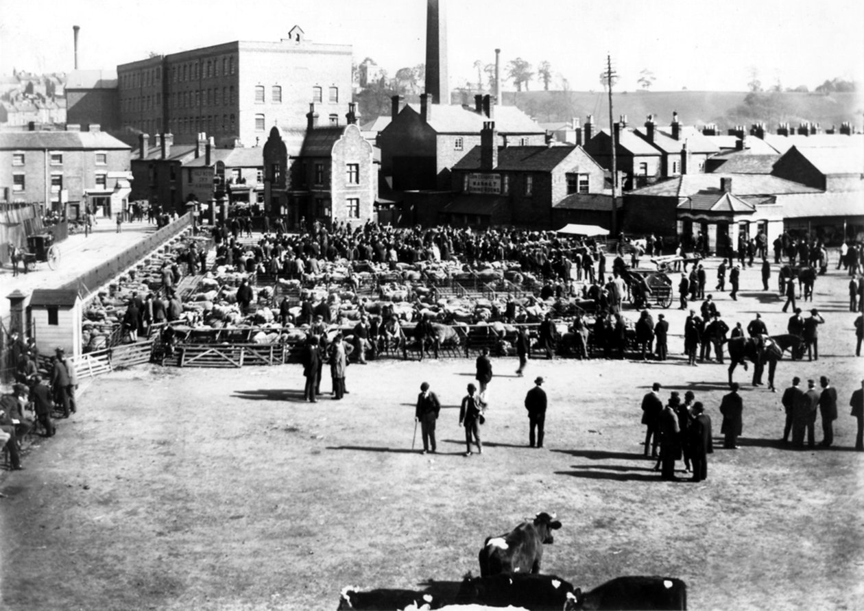 Karja- ja tukkukauppa, Kidderminster, 1900 tekijältä English Photographer