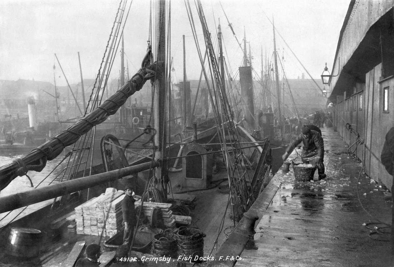 Kalatelakat, Grimsby, 1900-luvun alku tekijältä English Photographer