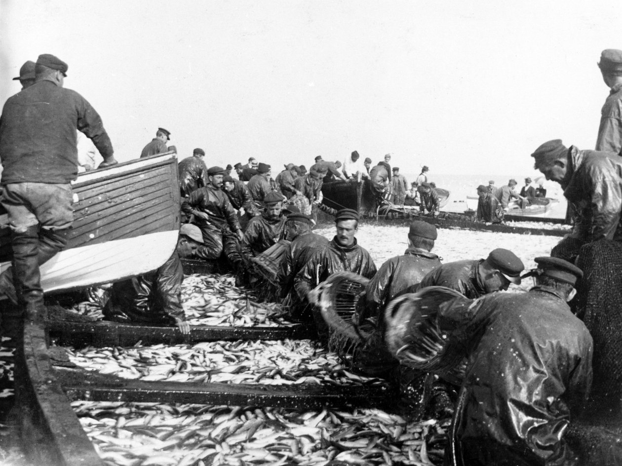 Kalastaja saaliinsa kanssa, noin 1890 tekijältä English Photographer
