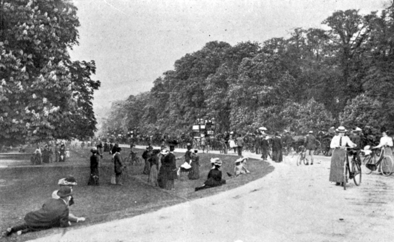 Yleisnäkymä Bushey Parkista, kuva The Kingistä, 25. toukokuuta 1901 tekijältä English Photographer
