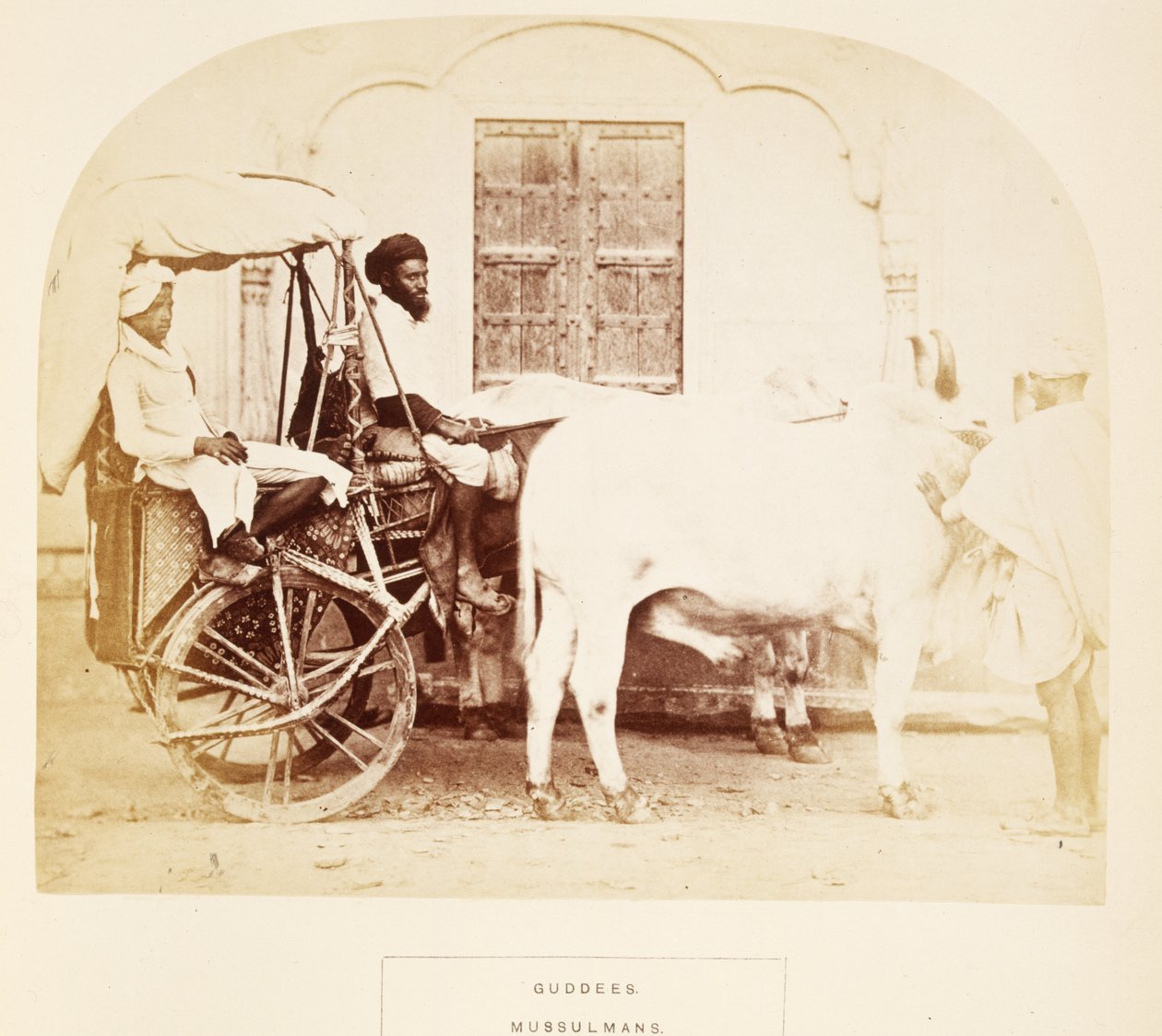 Guddees, Mussulmans, Rajpootana, J. Forbes Watsonin teoksesta The People of India, julkaistu 1868 (albumiprintti) tekijältä English Photographer