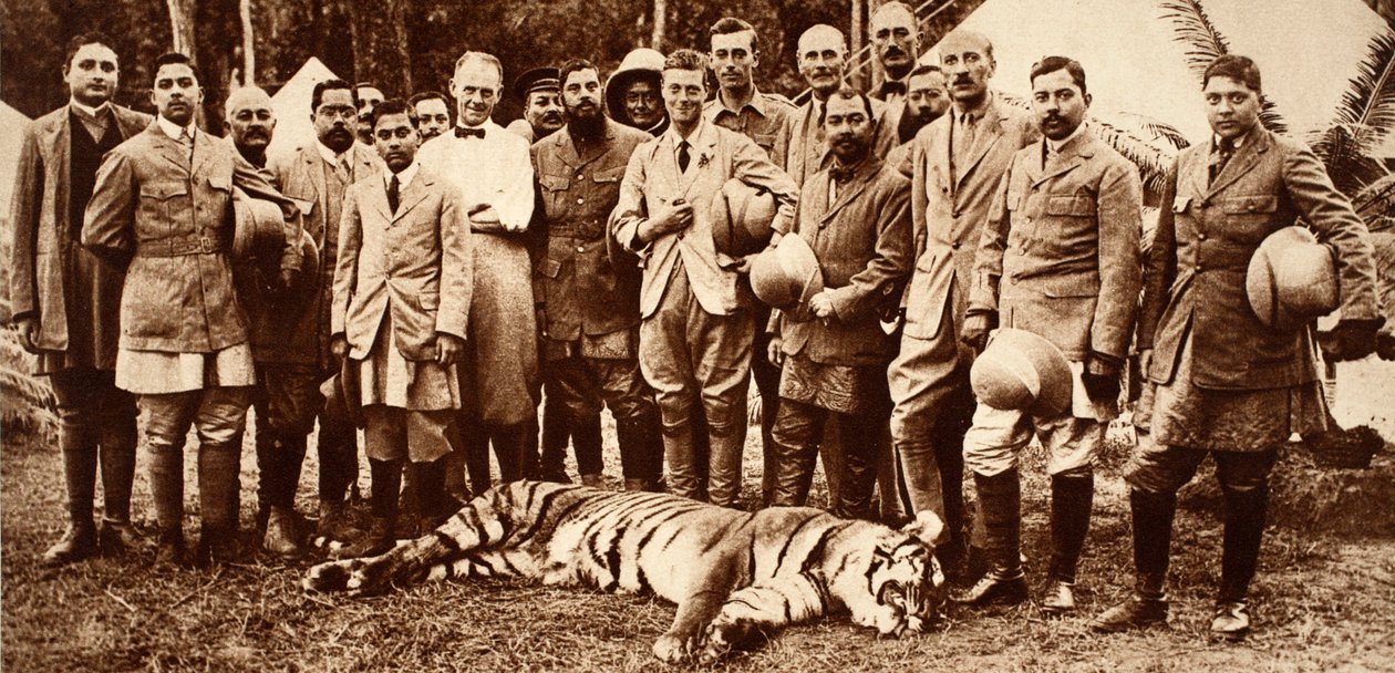 Kuningas Edward VIII:n ensimmäinen tiikeri, 1921 tekijältä English Photographer
