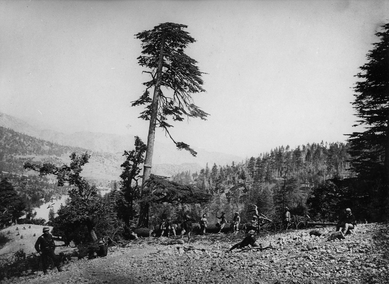 Alkuperäisiä ja brittiläisiä sotilaita lepäämässä toisen Anglo-Afganistani-sodan aikana 1878-80 tekijältä English Photographer