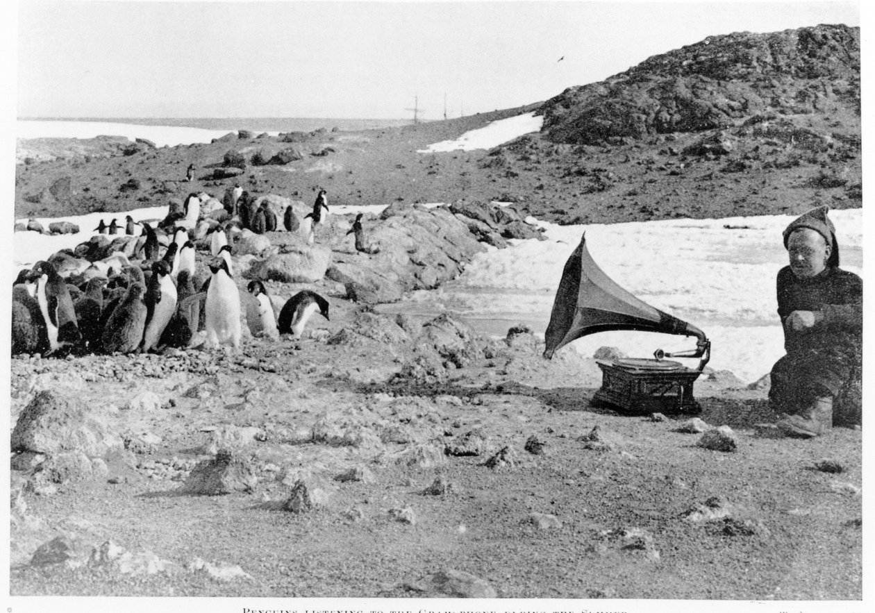 Pingviinit kuuntelemassa gramofonia Shackletonin 1907–1909 Etelämanner-retken aikana, Shackletonin (1874–1922) teoksesta The Heart of the Antarktic, joka julkaistiin vuonna 1909 tekijältä English Photographer