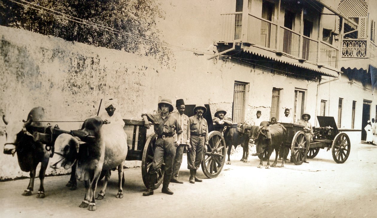 "Pelastuneet brittiaseet ovat edelleen hyödyllisiä", Sansibar, 1914 tekijältä English Photographer