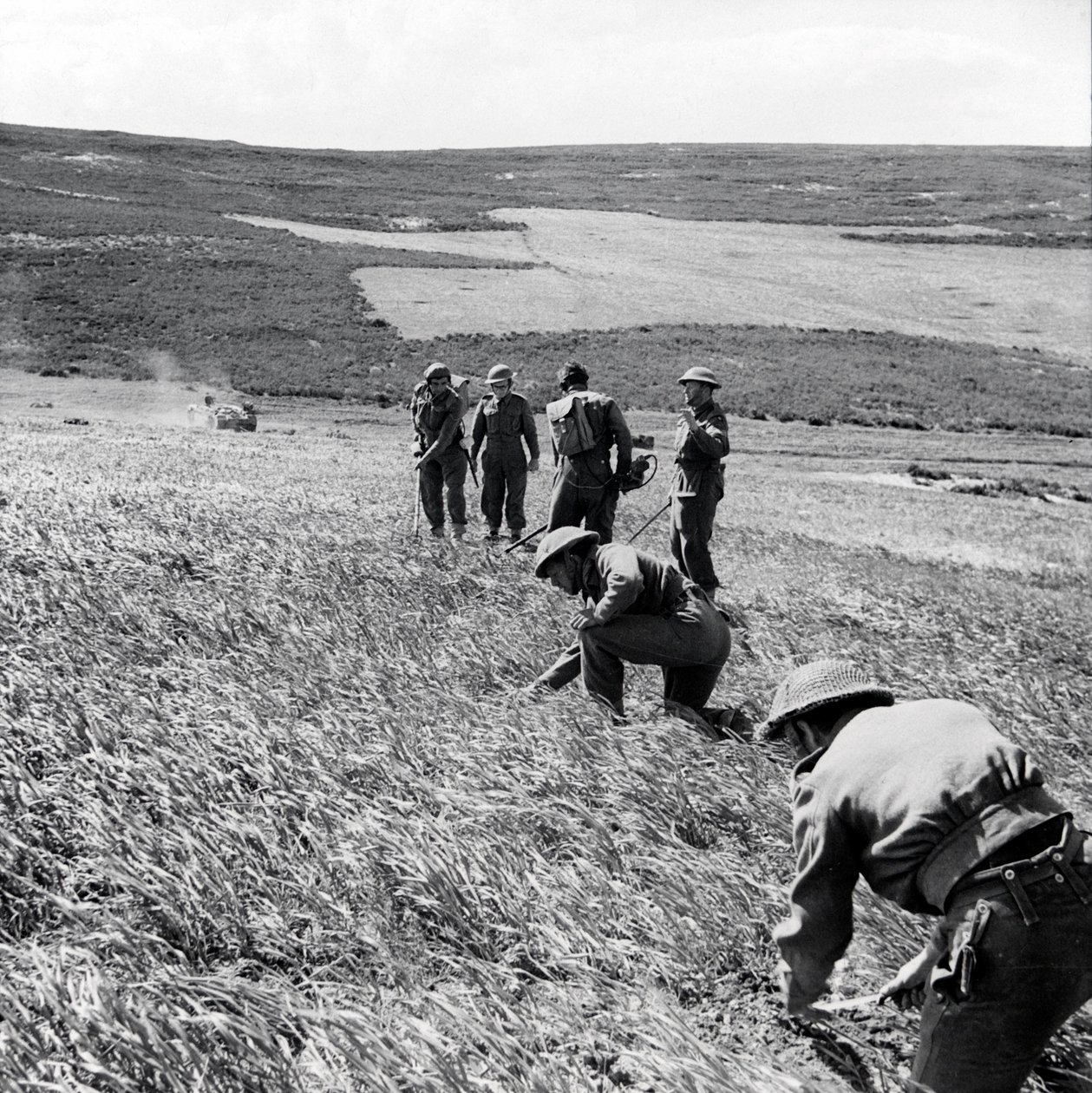237 Field Companyn saappaajat, Royal Engineers, raivaamassa miinakenttää ensimmäisen armeijan hyökkäyksen Toukabeuriin ja Chaouachiin huhtikuussa 1943 jälkeen. tekijältä English Photographer