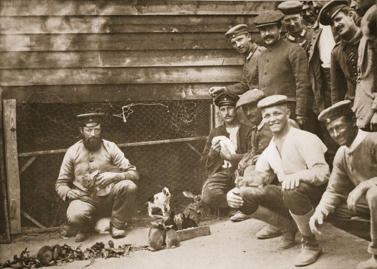 Jotkut vangeista lemmikkejä, Dorchester, kuvitus saksalaisista vangeista Isossa-Britanniassa (syväpaino) tekijältä English Photographer