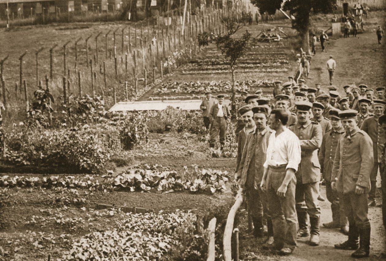 The Vegetable Garden, Eastcote, kuvitus saksalaisista vangeista Isossa-Britanniassa (syväpaino) tekijältä English Photographer