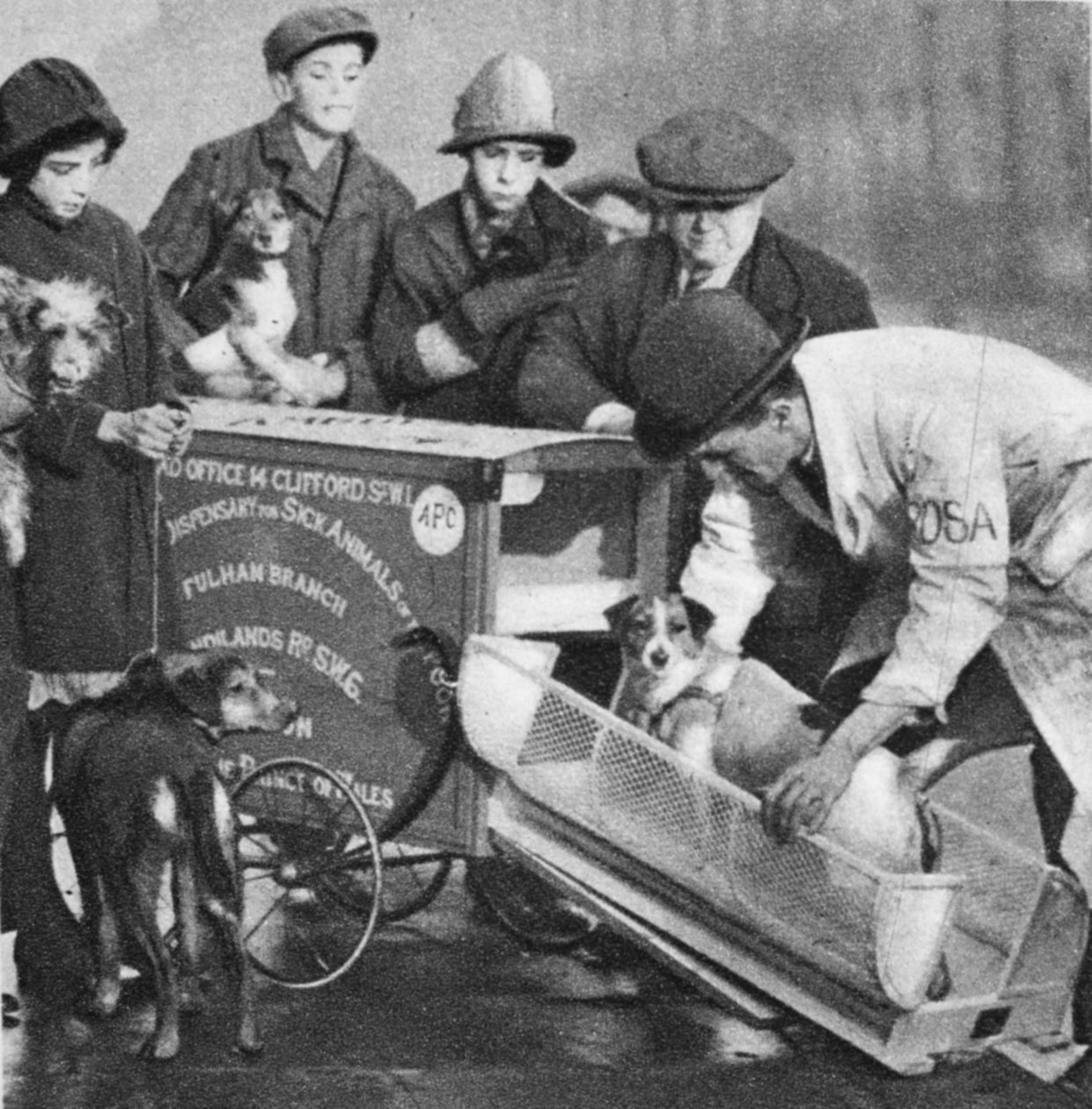Eläinlääkäri The Peoples Dispensary for Sick Animals -järjestön Fulhamin haarasta, Wonderful London, julkaistiin 1926-27 (syväpaino) tekijältä English Photographer