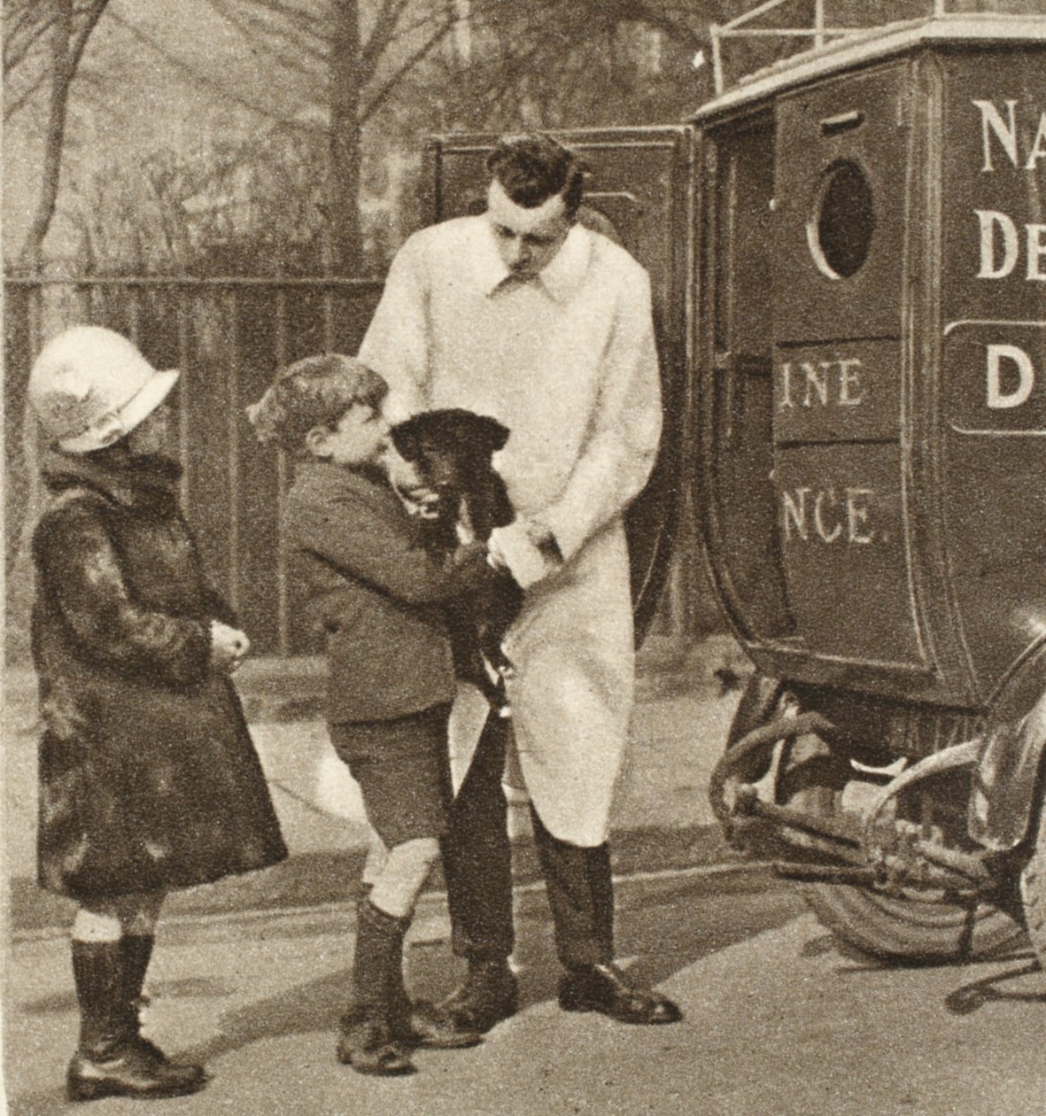 Eläinlääkäri The Peoples Dispensary for Sick Animals -järjestön Fulhamin haarasta, Wonderful London, julkaistiin 1926-27 (syväpaino) tekijältä English Photographer
