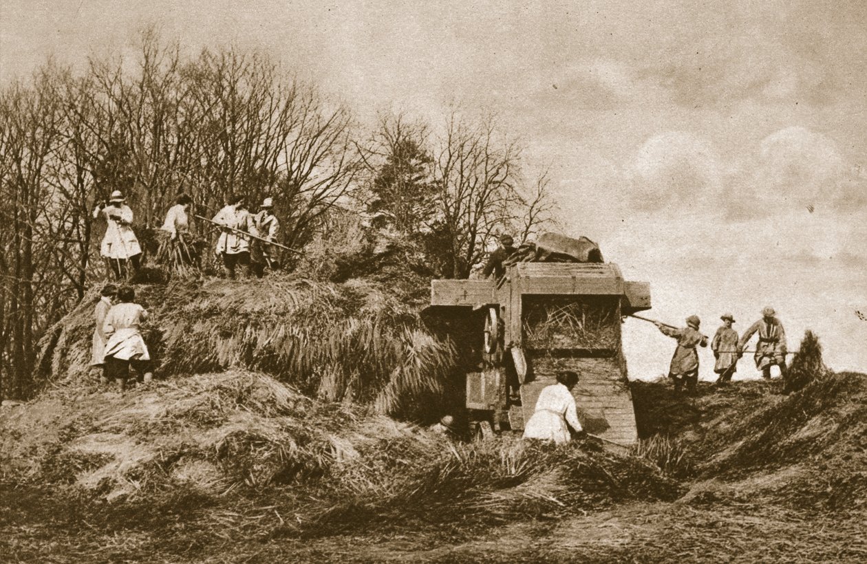 Naisten maa-armeijan koulutus kaikkien maatalouden alojen teoriassa ja käytännössä, 1914-19 tekijältä English Photographer