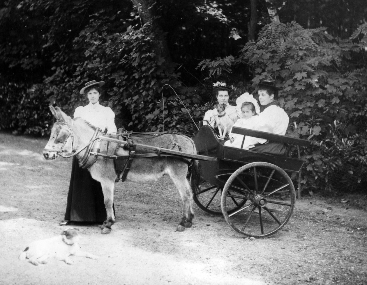 Victorian Donkey Cart, noin 1890 tekijältä English Photographer