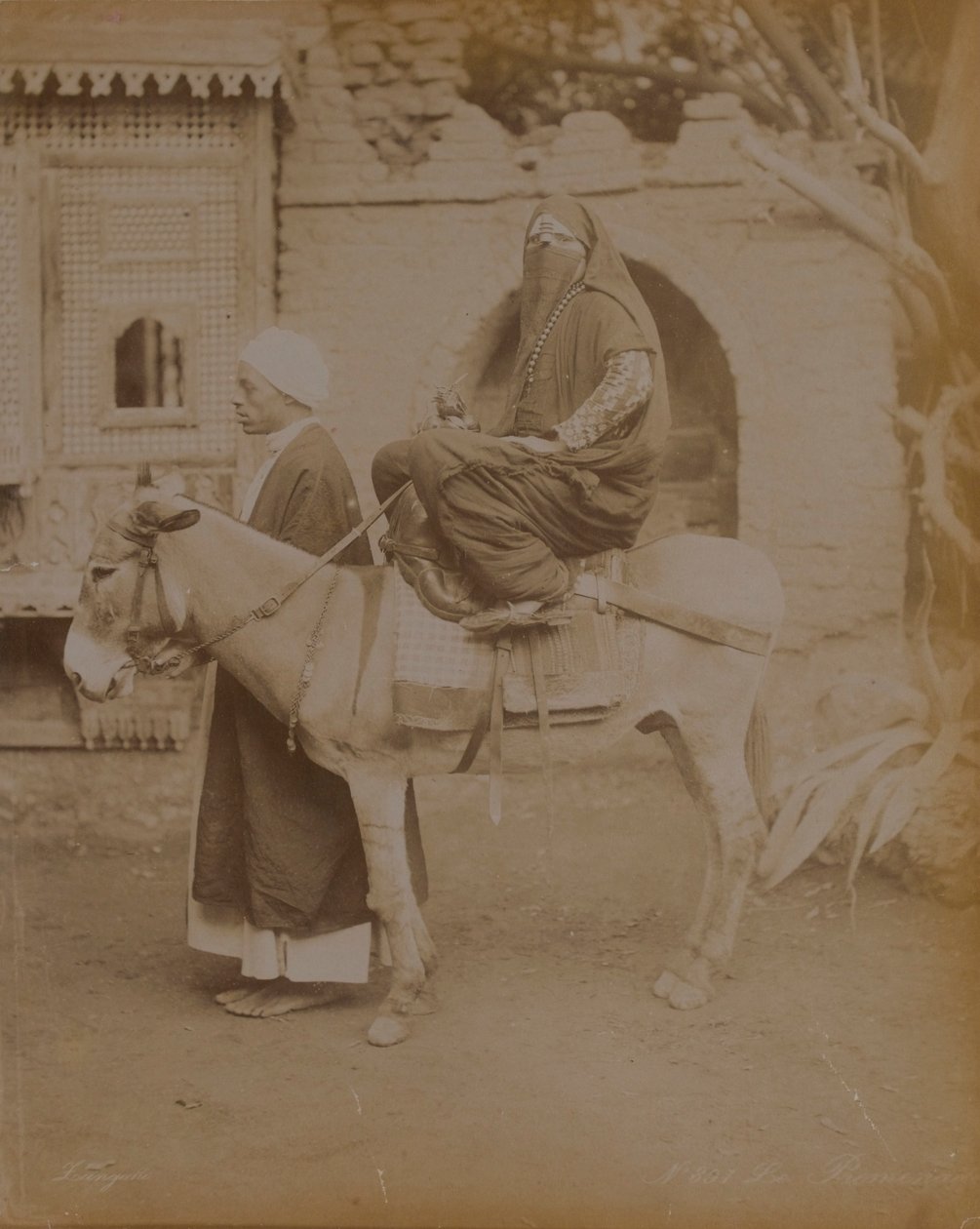 Nainen aasilla, Kairo, 1893 tekijältä English Photographer