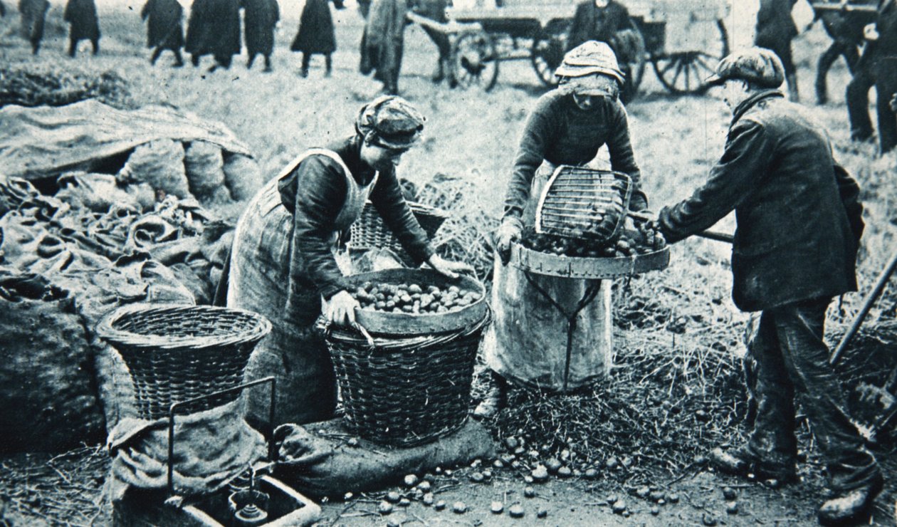 Sotatyöläisnaisia maalla, kuvitus The Illustrated War News -lehdestä, 7. maaliskuuta 1917 (seepiakuva). tekijältä English Photographer