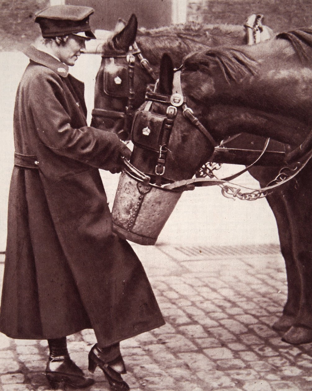 Työ naisille, jotka tuntevat hevoset, kuvitus The Illustrated War Newsista, 7. maaliskuuta 1917 (seepiakuva) tekijältä English Photographer