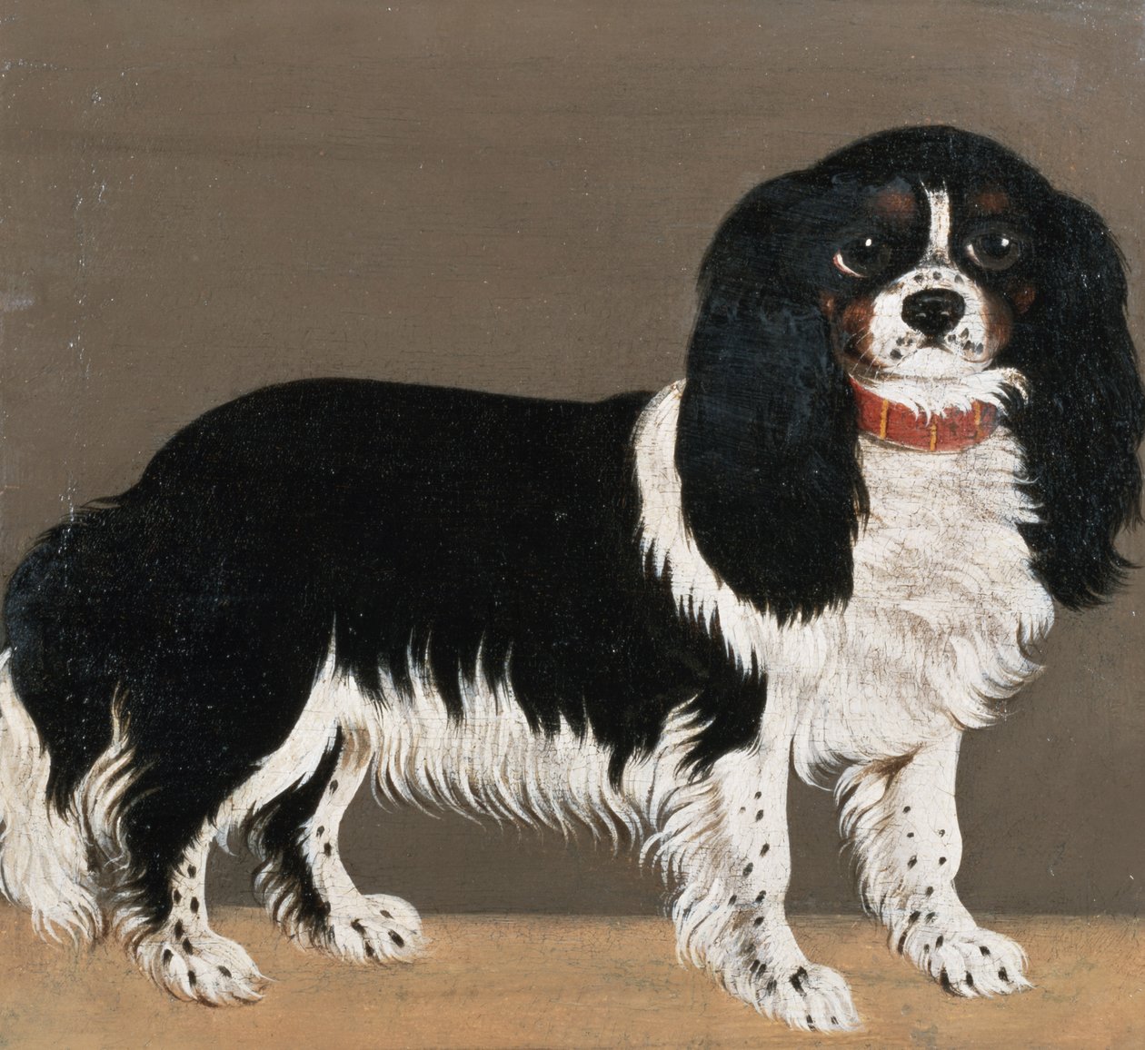Cavalier King Charles -spanieli (pari 64045) tekijältä English School