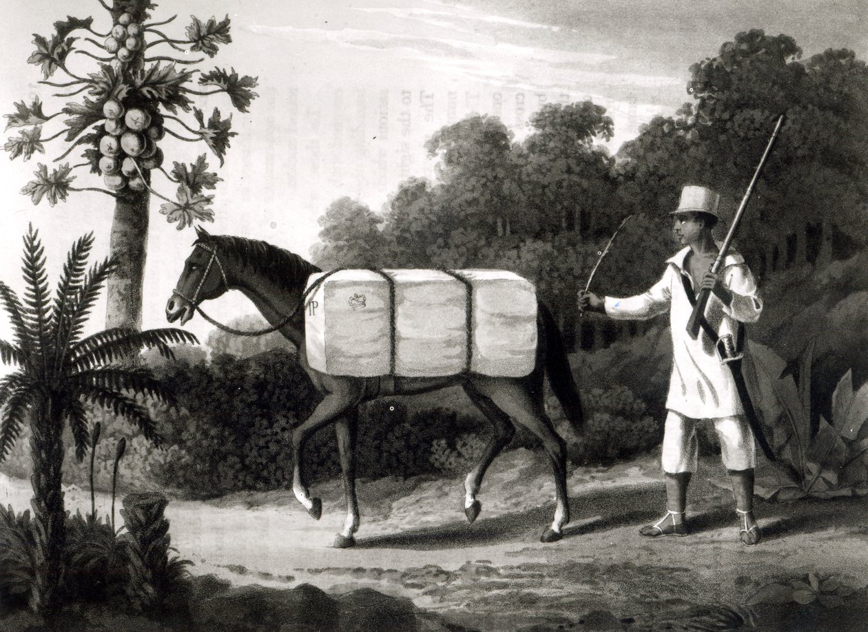 Puuvillakangas, "Travels in Brazil", 1819 (bw print) tekijältä English School