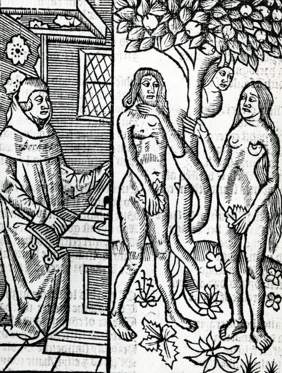 Adam ja Eeva, kuvitus John Lydgaten käännöksestä Boccaccion teoksesta "De Casibus Virorum Illustrium", 1527 tekijältä English School