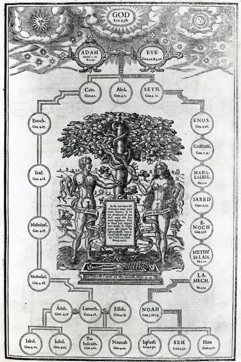 Aatamin ja Eevan sukupuu, 1556 tekijältä English School