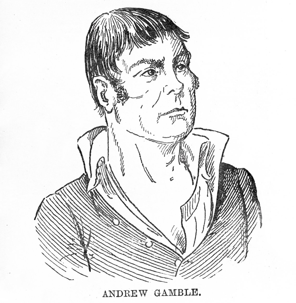 Andrew Gamble tekijältä English School