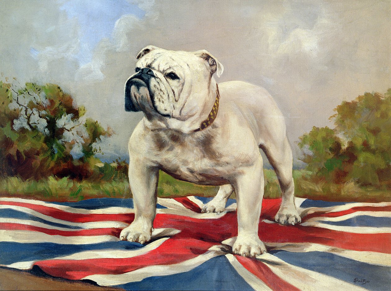 Brittibulldoggi tekijältä English School