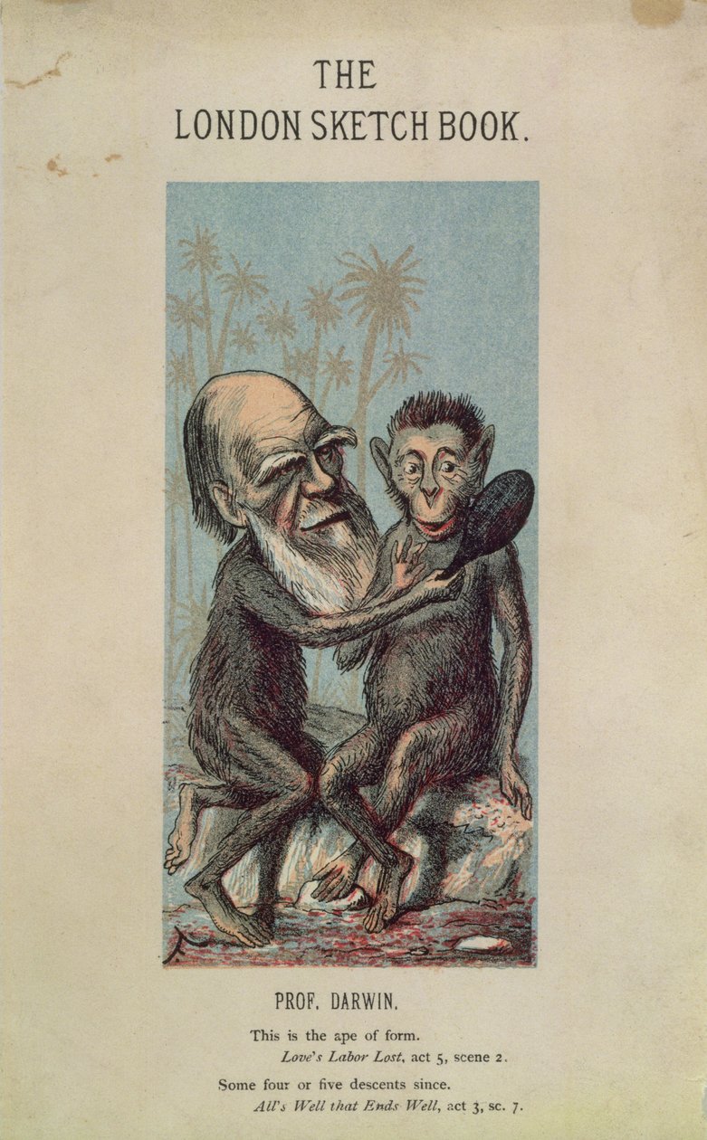 Sarjakuva Darwinista apinan kanssa, Lontoon luonnoskirjasta, huhtikuu 1874, osa 1, nro 4 tekijältä English School