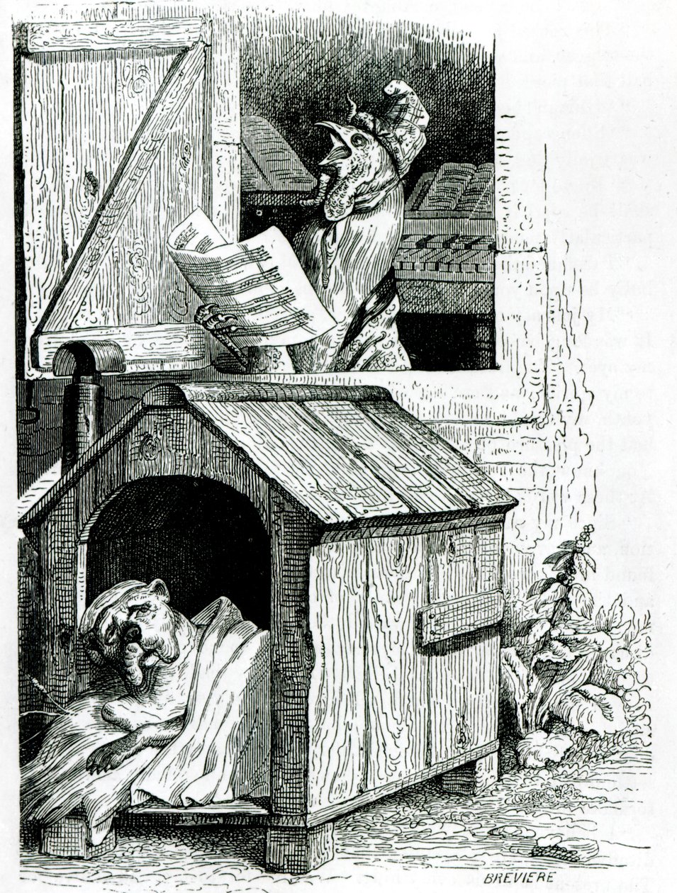 Koira nukkumassa ja kukko laulamassa, J. Thomsonin teoksesta "Public and Private Life of Animals". tekijältä English School