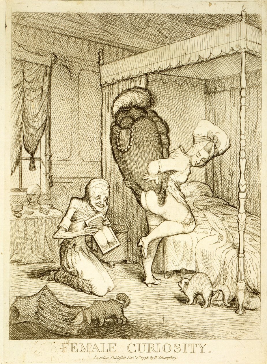 Female Curiosity, 1778 tekijältä English School