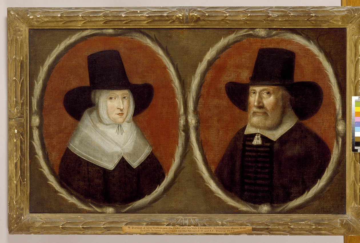 John Tradescant vanhempi ja hänen vaimonsa Elizabeth, 1656 tekijältä English School