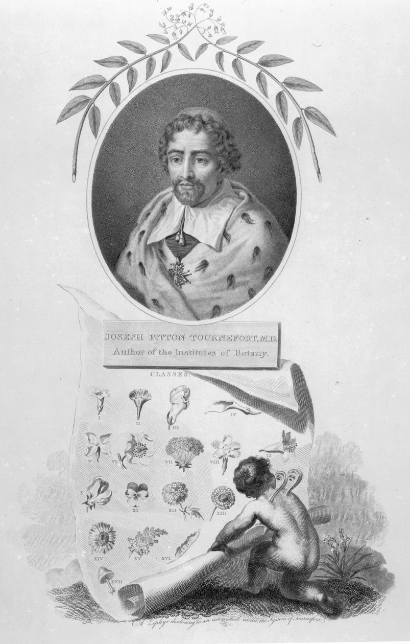 Joseph Pitton de Tournefort tekijältä English School