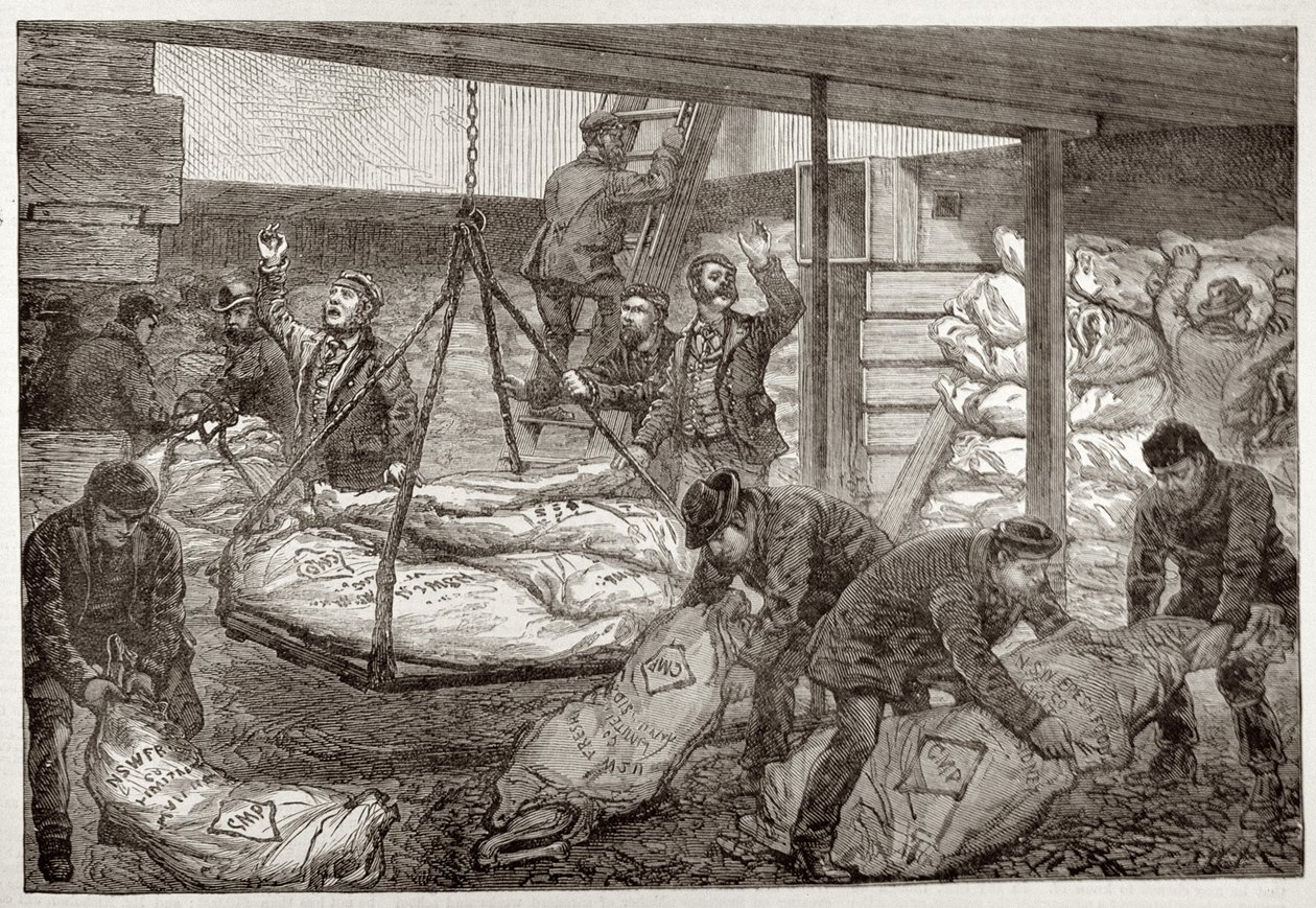 Australian Frozen Meat -lihan purkaminen Sydneystä Lounais-Intian satamalaiturille, Millwall, The Illustrated London News, 19. marraskuuta 1881 tekijältä English School