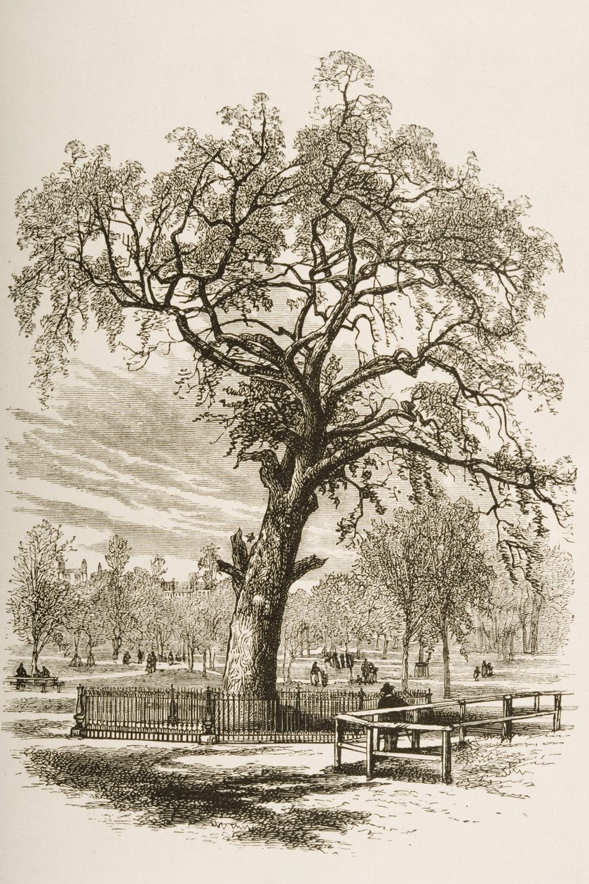 Liberty Tree, Boston Common, noin vuonna 1870, julkaisusta 