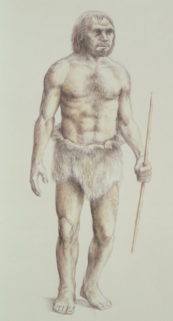 Neandertalin mies tekijältä English School