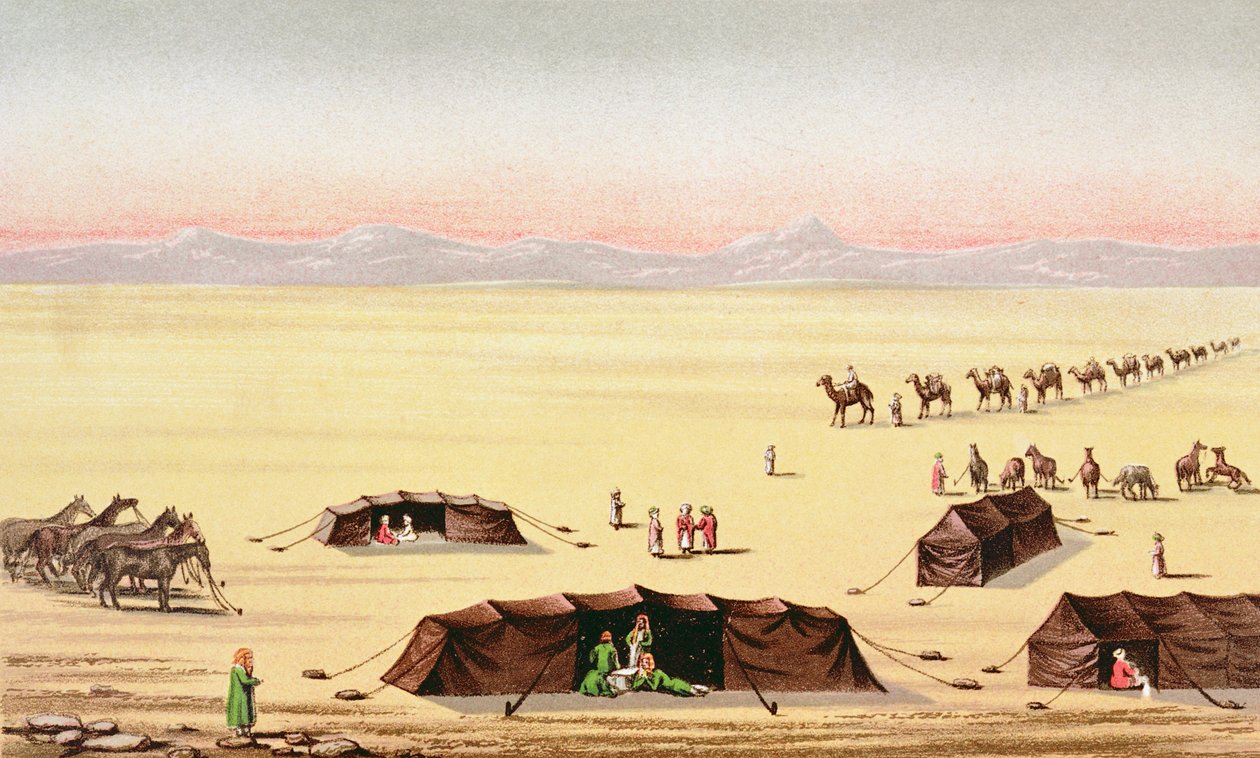 Meidän Desert Camp (värikaiverrus) tekijältä English School
