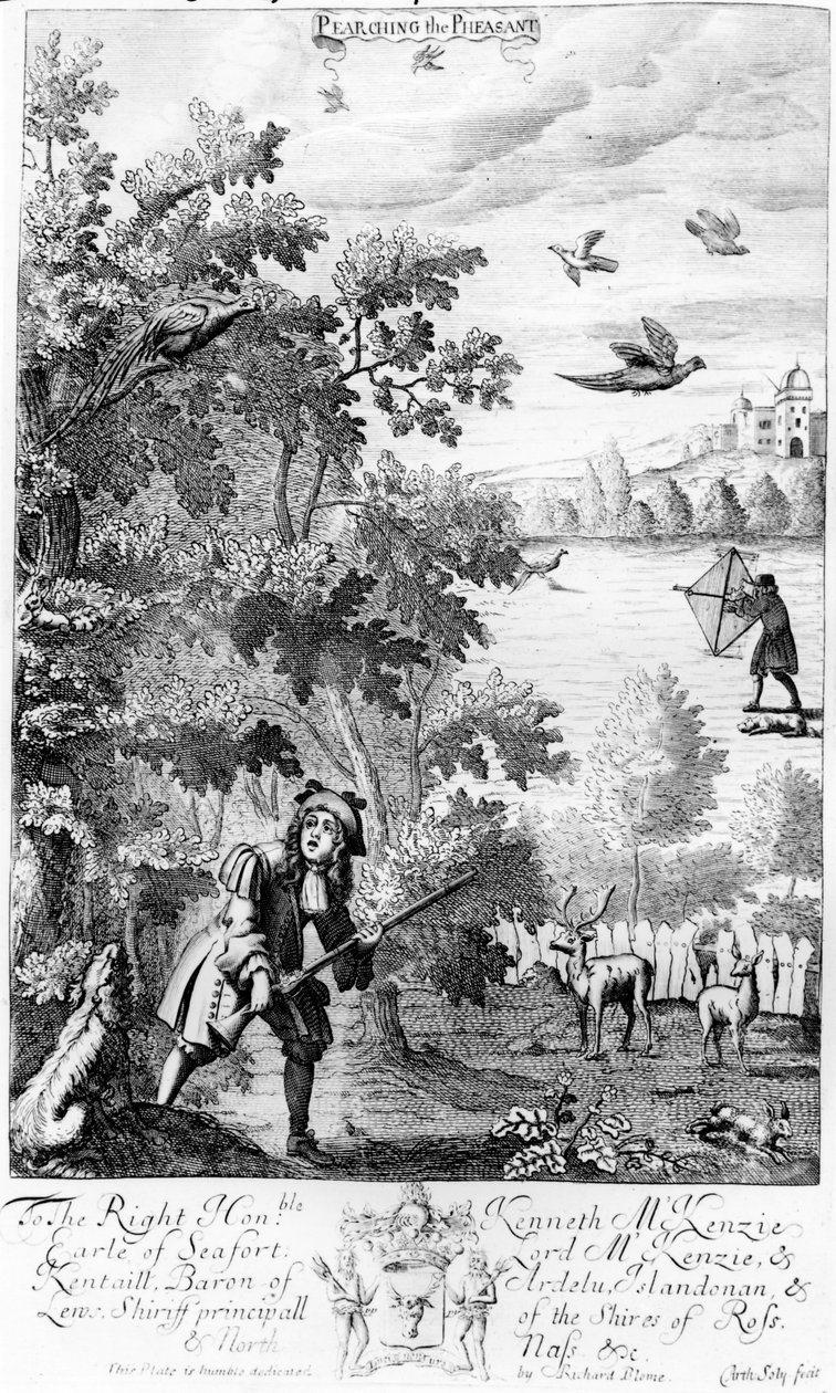 Pearching the Pheasant, Richard Blomen julkaisusta "The Gentleman