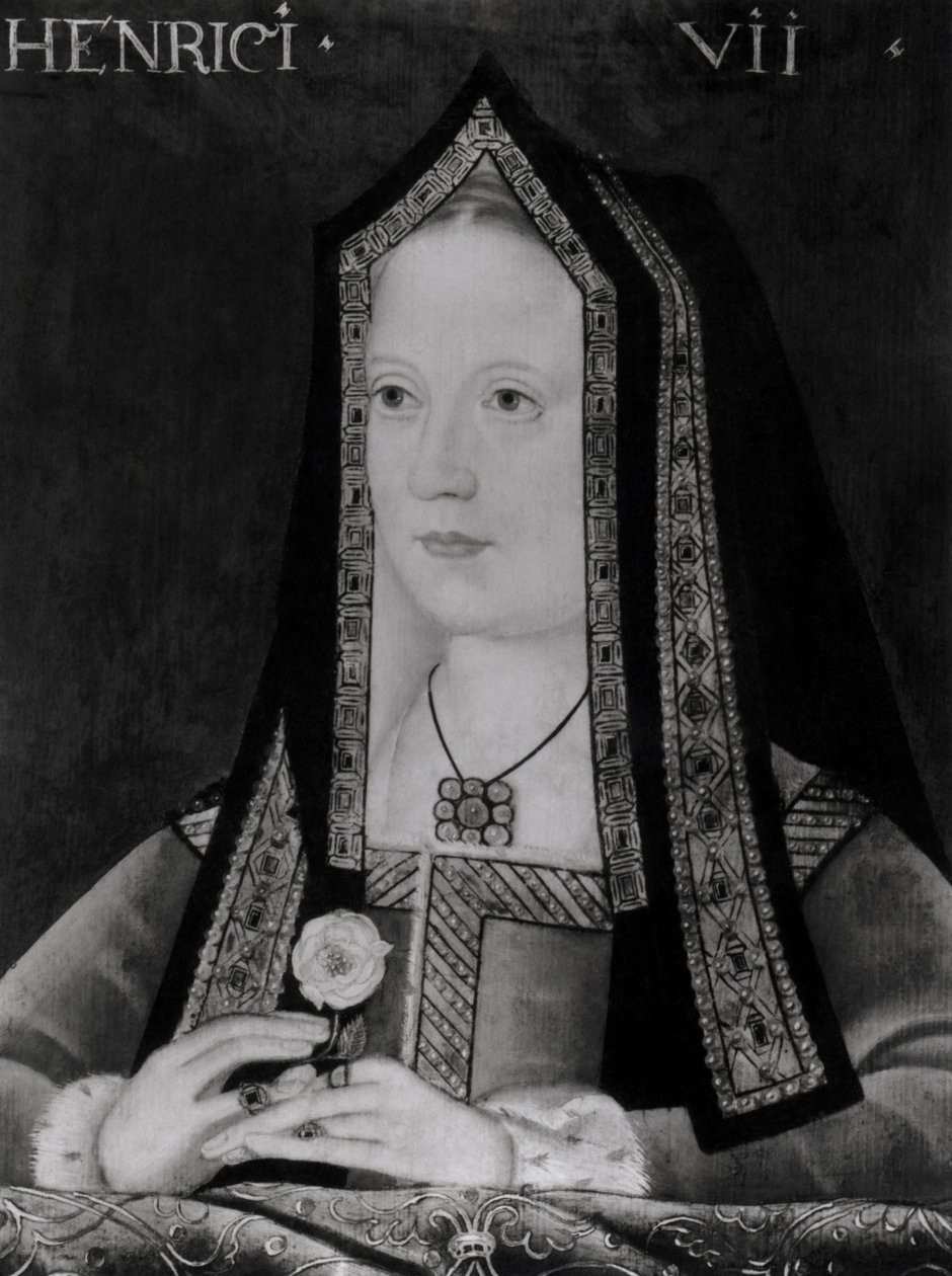 Elizabeth of Yorkin muotokuva (1465-1503) tekijältä English School